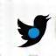 Twitter icon